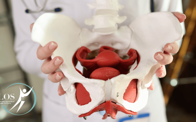 Riabilitazione del Pavimento Pelvico Post-Parto
