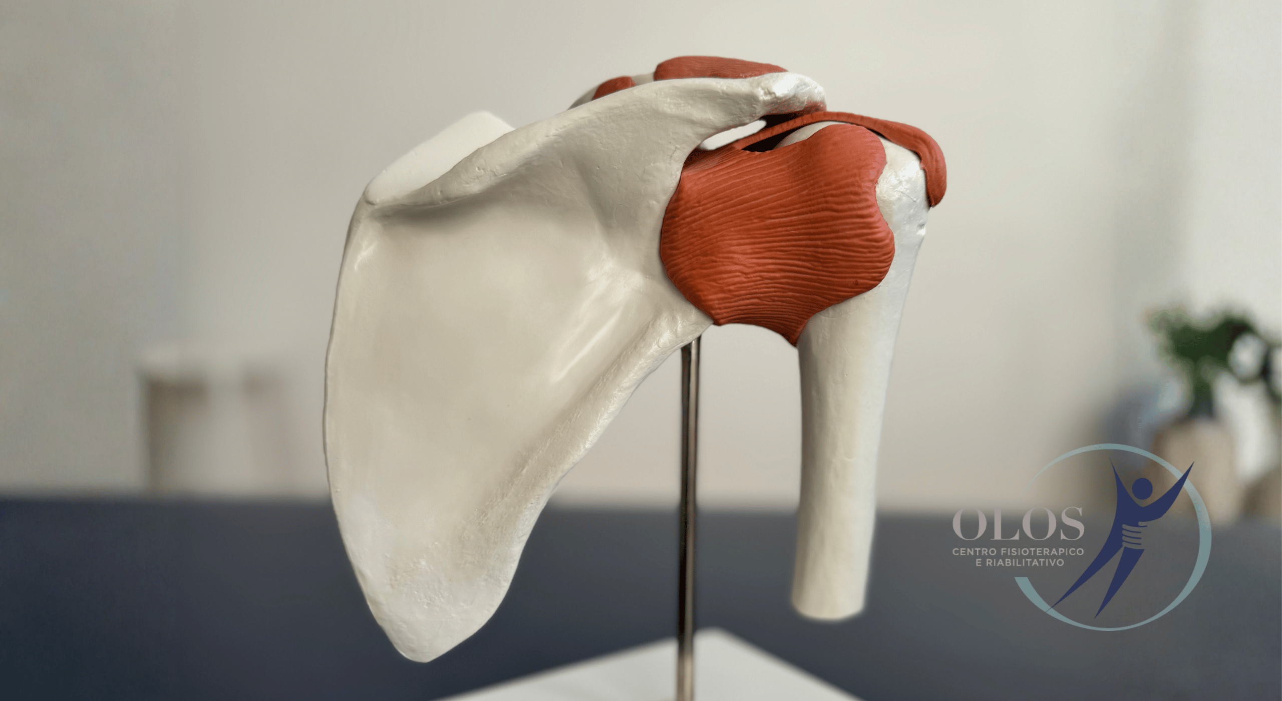 Fisioterapia Varese Percorso Scoliosi